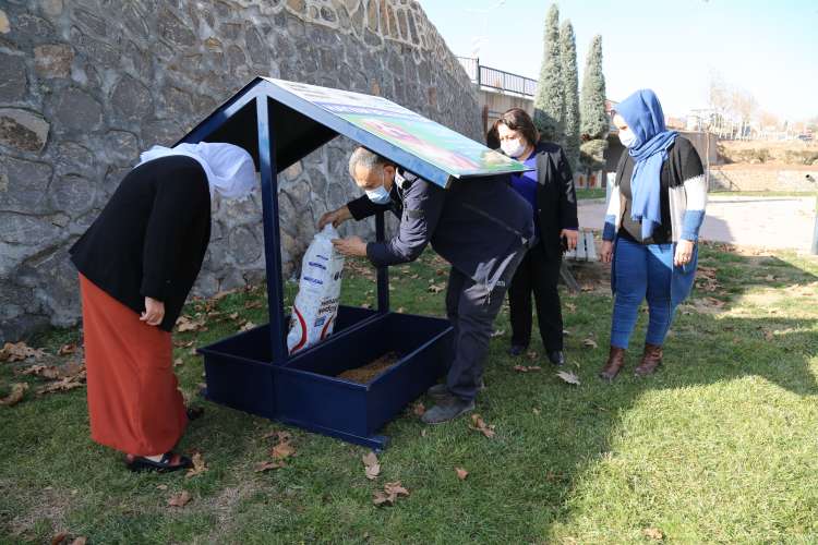 Çınar’da Sokak Hayvanları İçin Su ve Mama Kapları Bırakıldı 