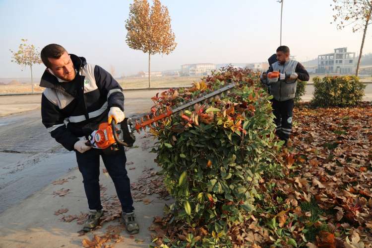Nujiyan Parkı’nda Ağaç Budama Çalışmaları Başladı