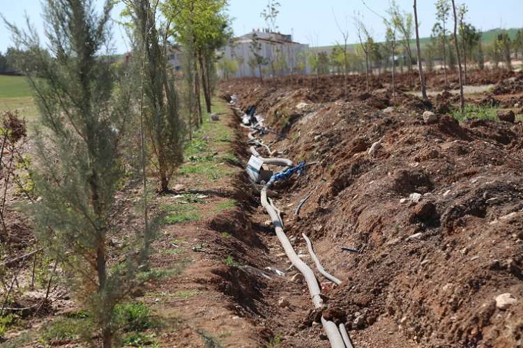 Mesire Alanında Ağaç Sulama Sistemi Döşeniyor 