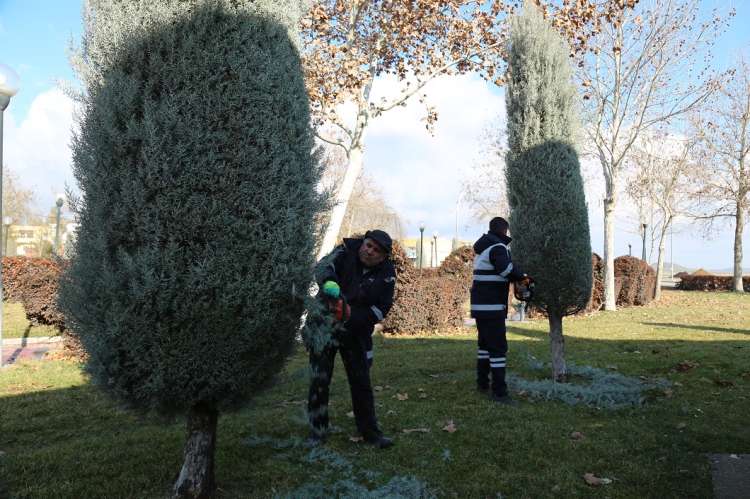 Nujiyan Parkı’nda Ağaç Budama Çalışmaları Başladı