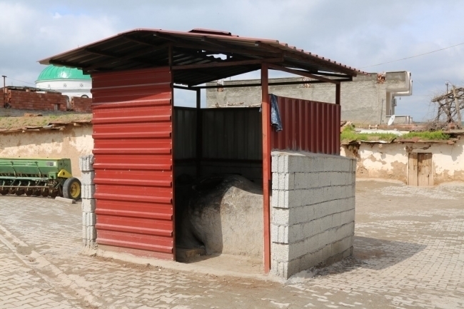 Çınar Belediyesi Ekmek Tandırlarının Çatısını Yeniliyor